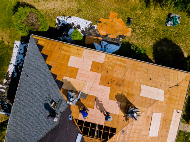 Best Roof Gutter Cleaning  in Highland, CA